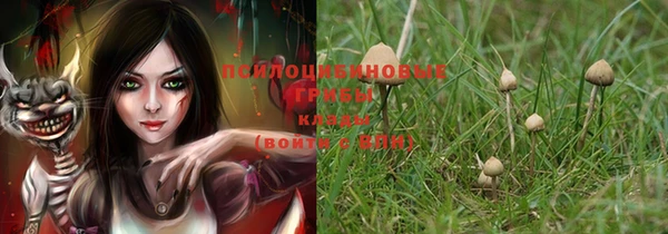 кокаин Белокуриха