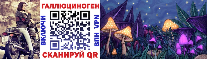 Псилоцибиновые грибы Psilocybe  Вельск 